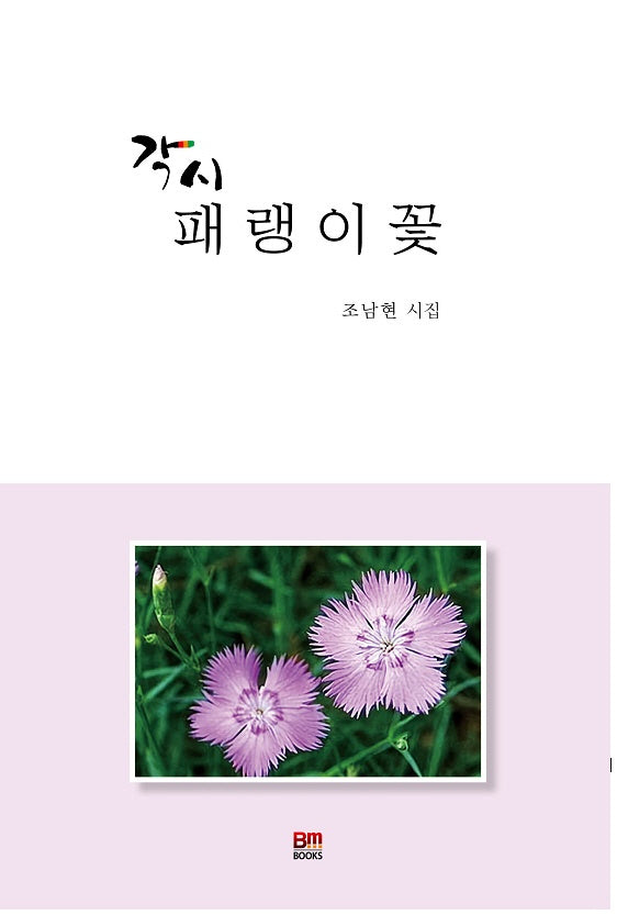 각시패랭이꽃