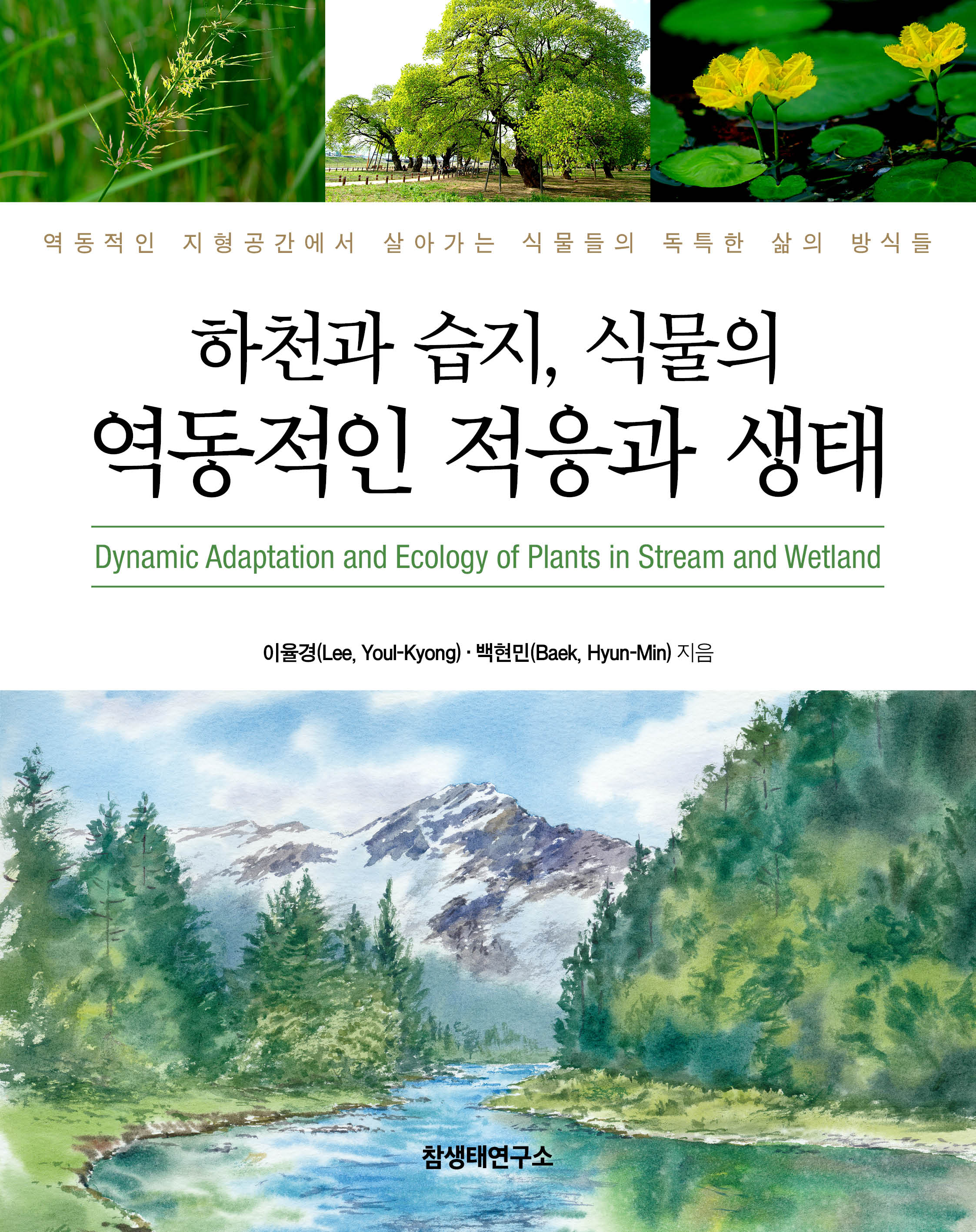 하천과 습지, 식물의 역동적인 적응과 생태