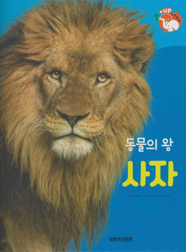 동물의 왕 사자(세이펜 적용)(+Up 자연속으로)