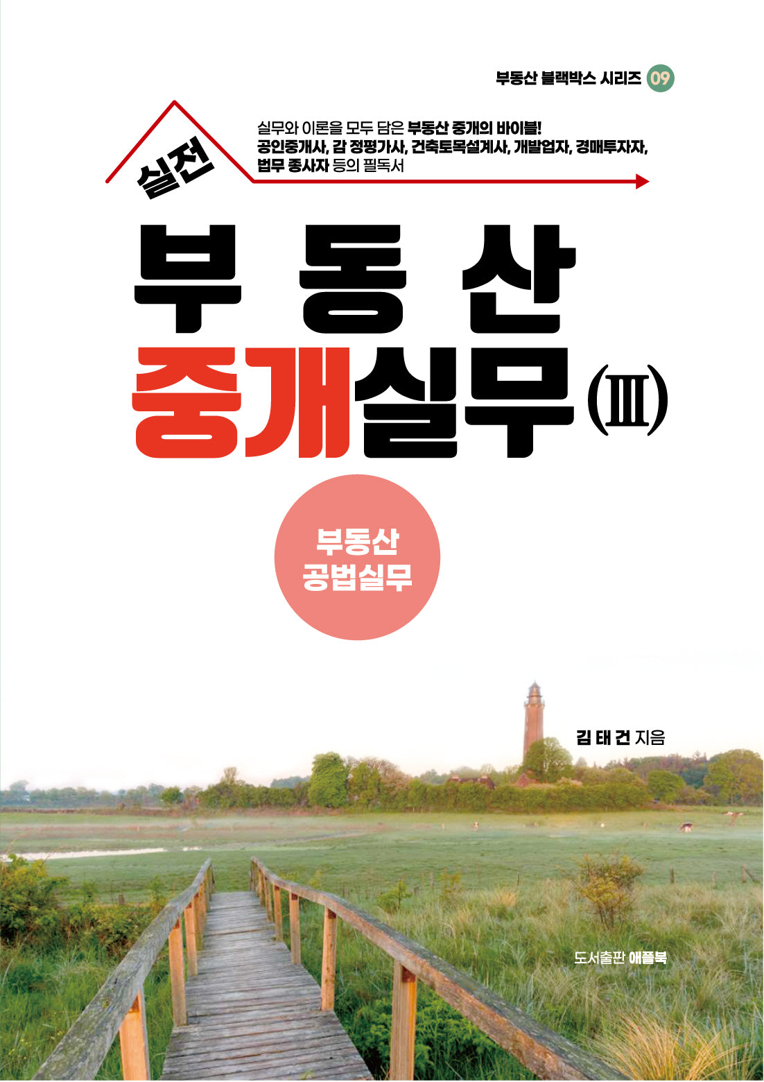실전 부동산중개실무 3: 부동산공법실무(2판)