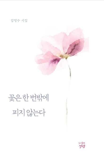 꽃은 한 번밖에 피지 않는다