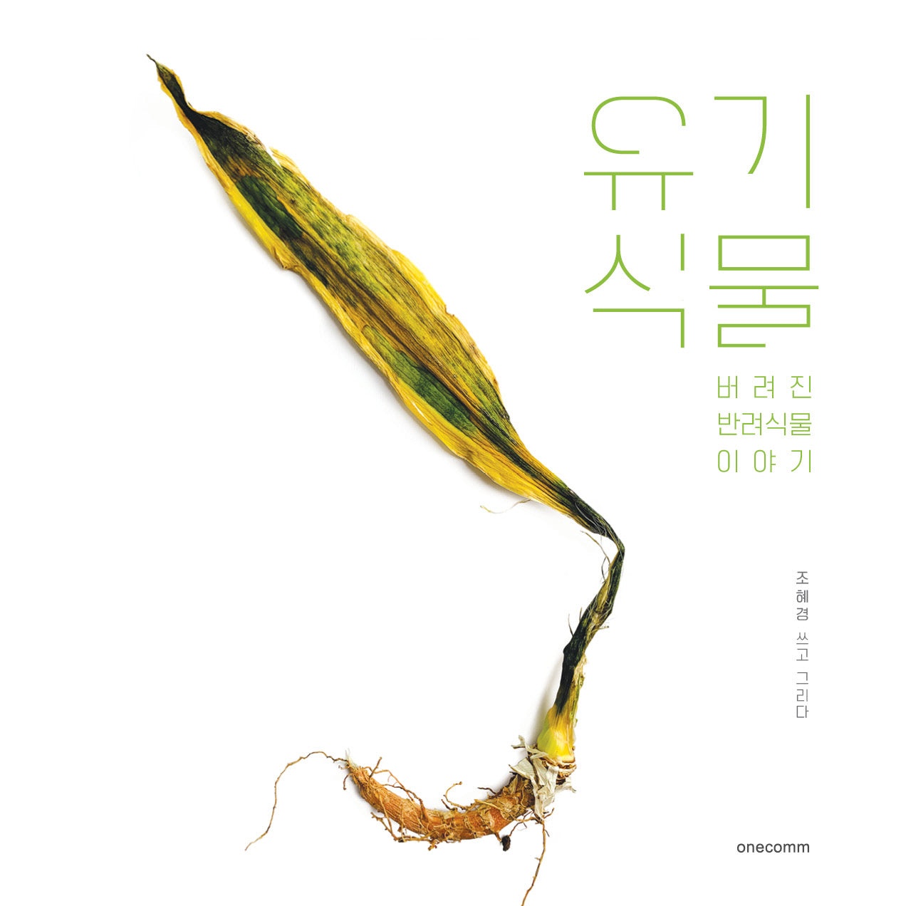 유기식물