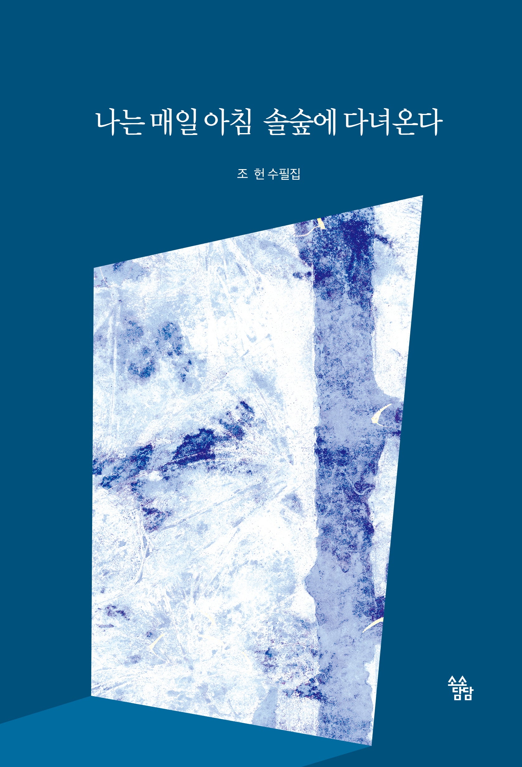 나는 매일 아침 솔숲에 다녀온다(양장본 Hardcover)