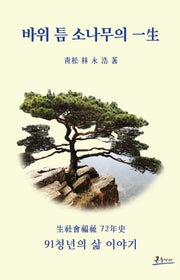 바위 틈 소나무의 일생(반양장)
