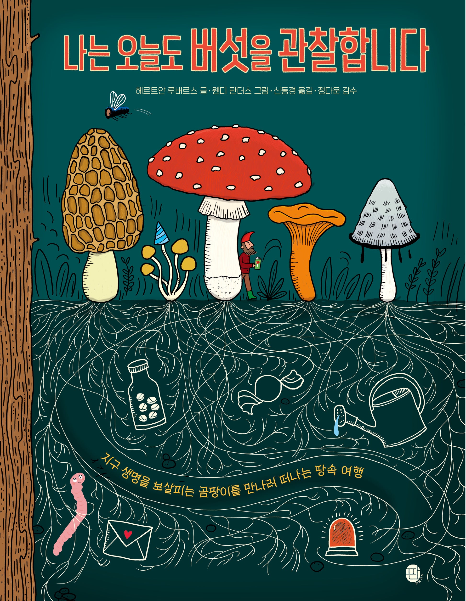 나는 오늘도 버섯을 관찰합니다(양장본 Hardcover)