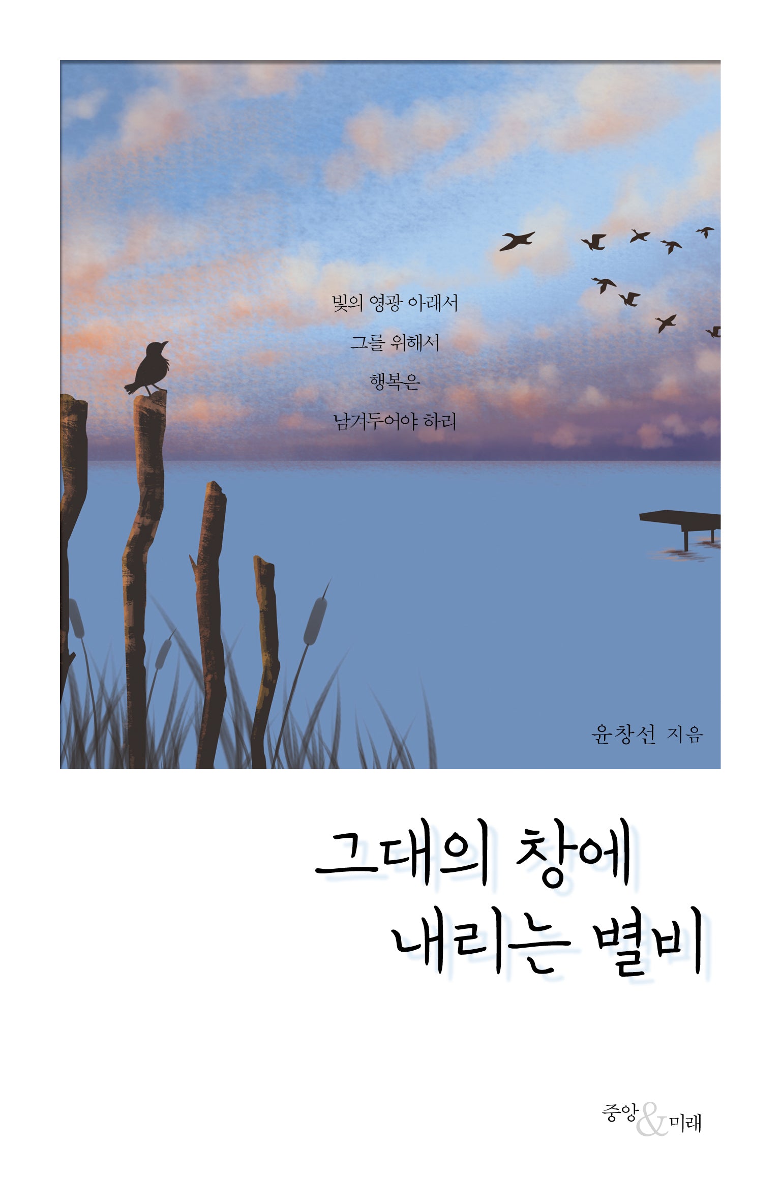 그대의 창에 내리는 별비