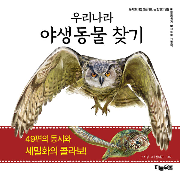 우리나라 야생동물 찾기(양장본 Hardcover)