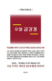 소설 금강경