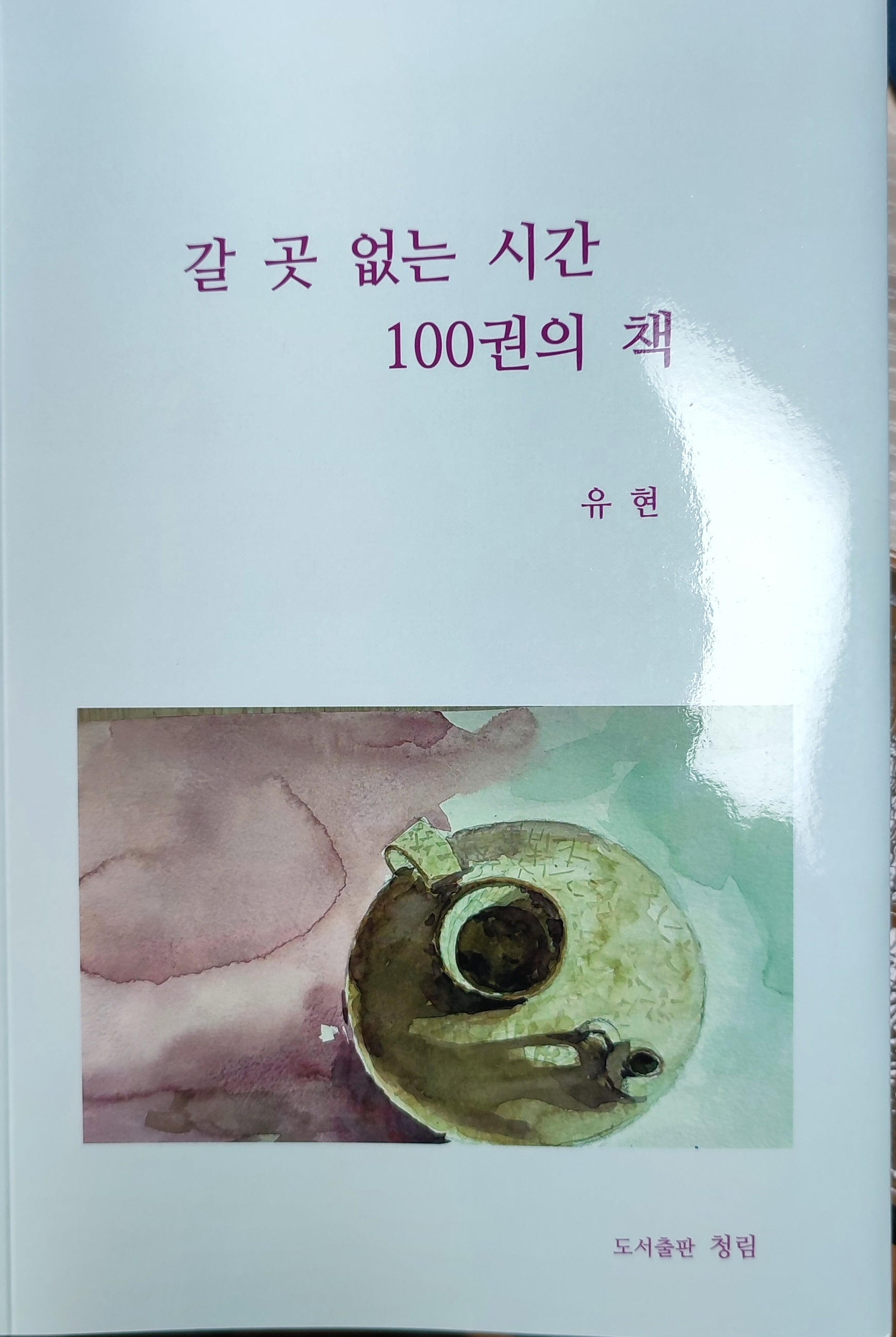 갈 곳 없는 시간 100권의 책