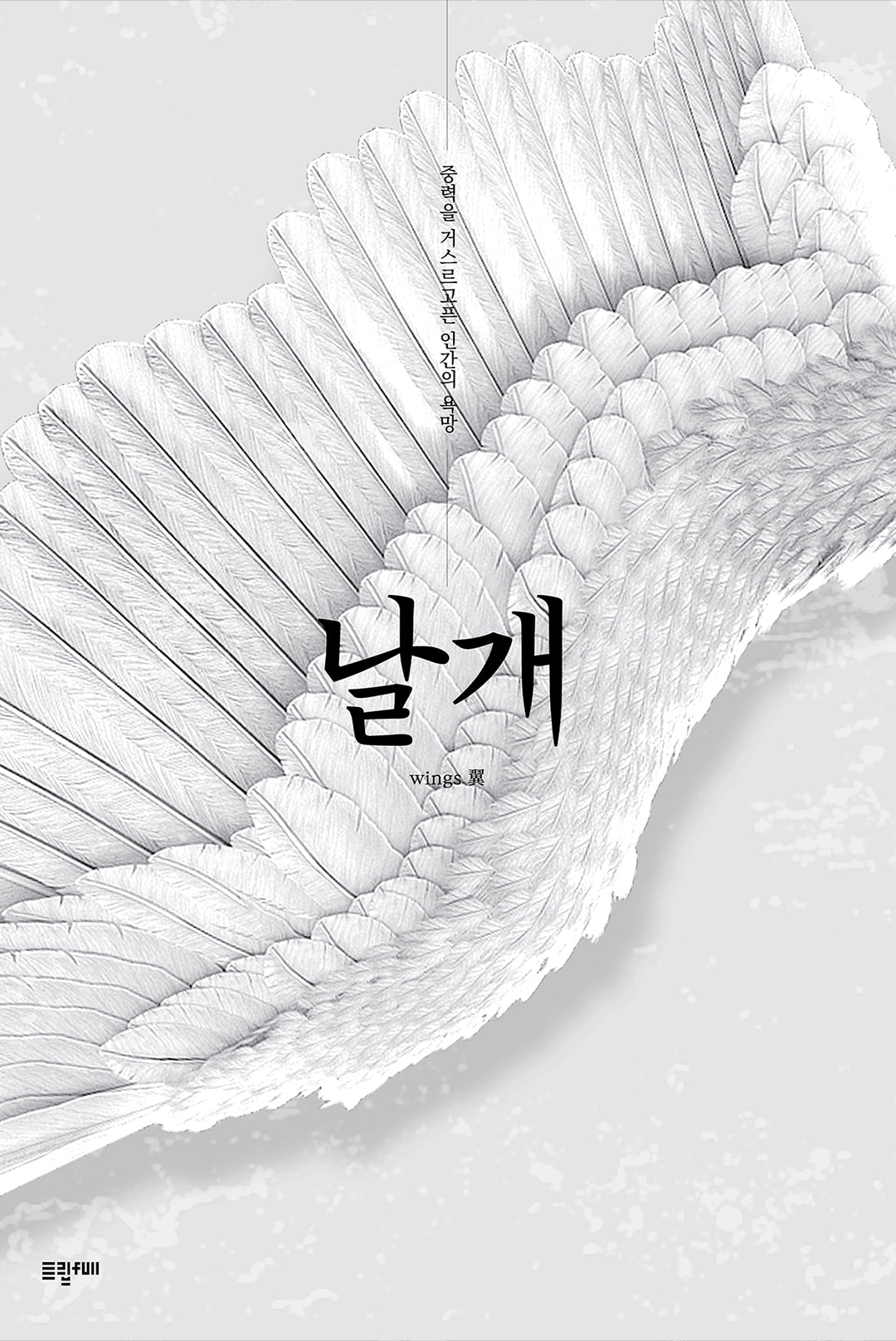 날개: 중력을 거스르고픈 인간의 욕망