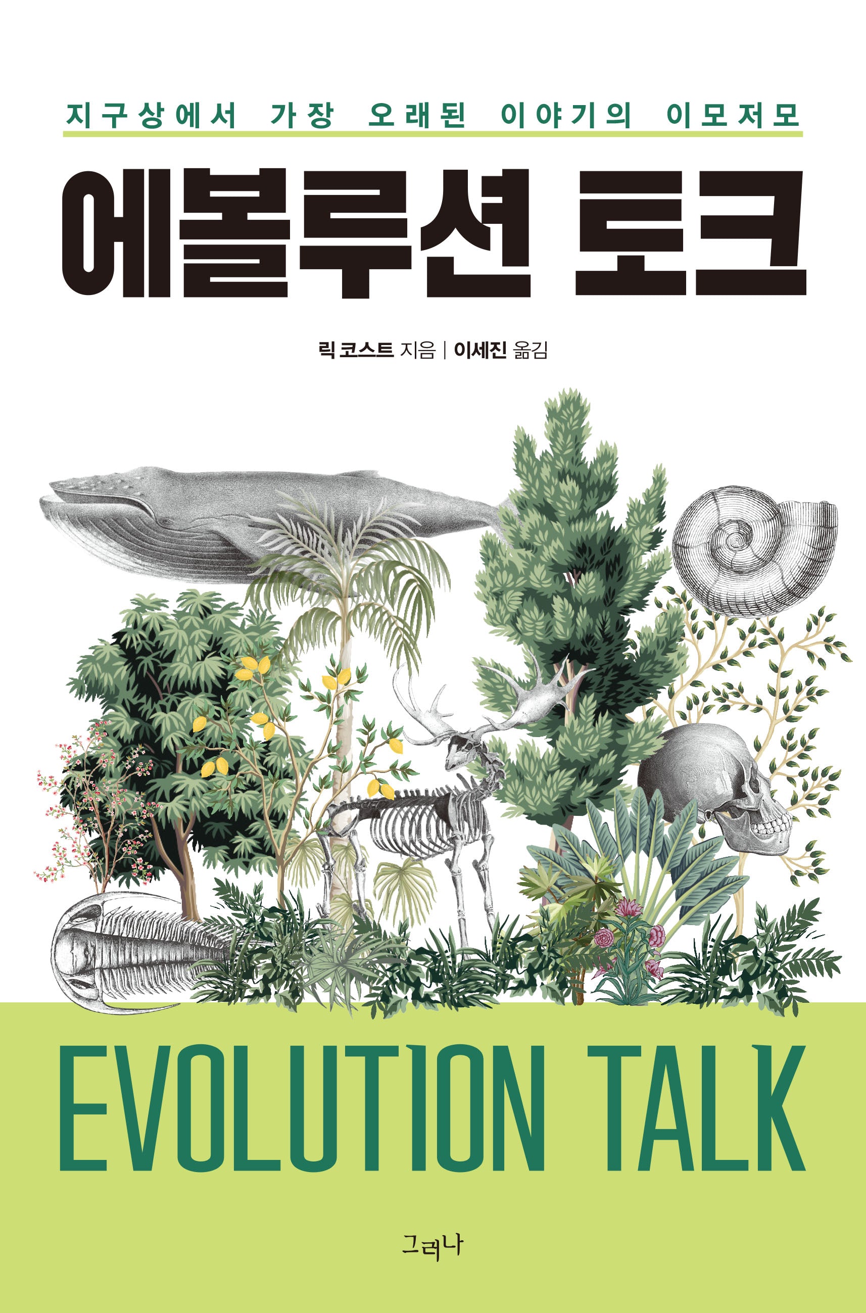 에볼루션 토크