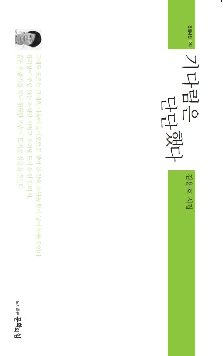 기다림은 단단했다(문힘시선 30)