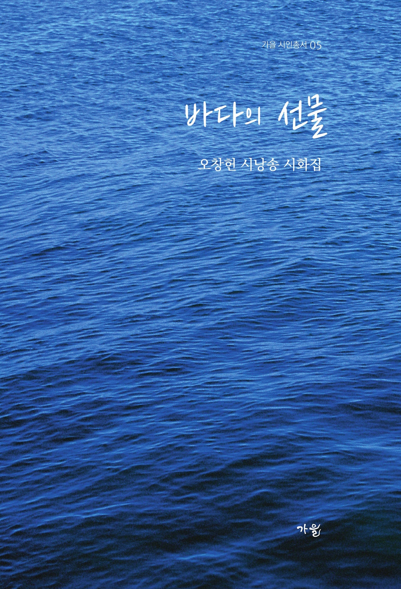 바다의 선물(가을 시인총서 5)