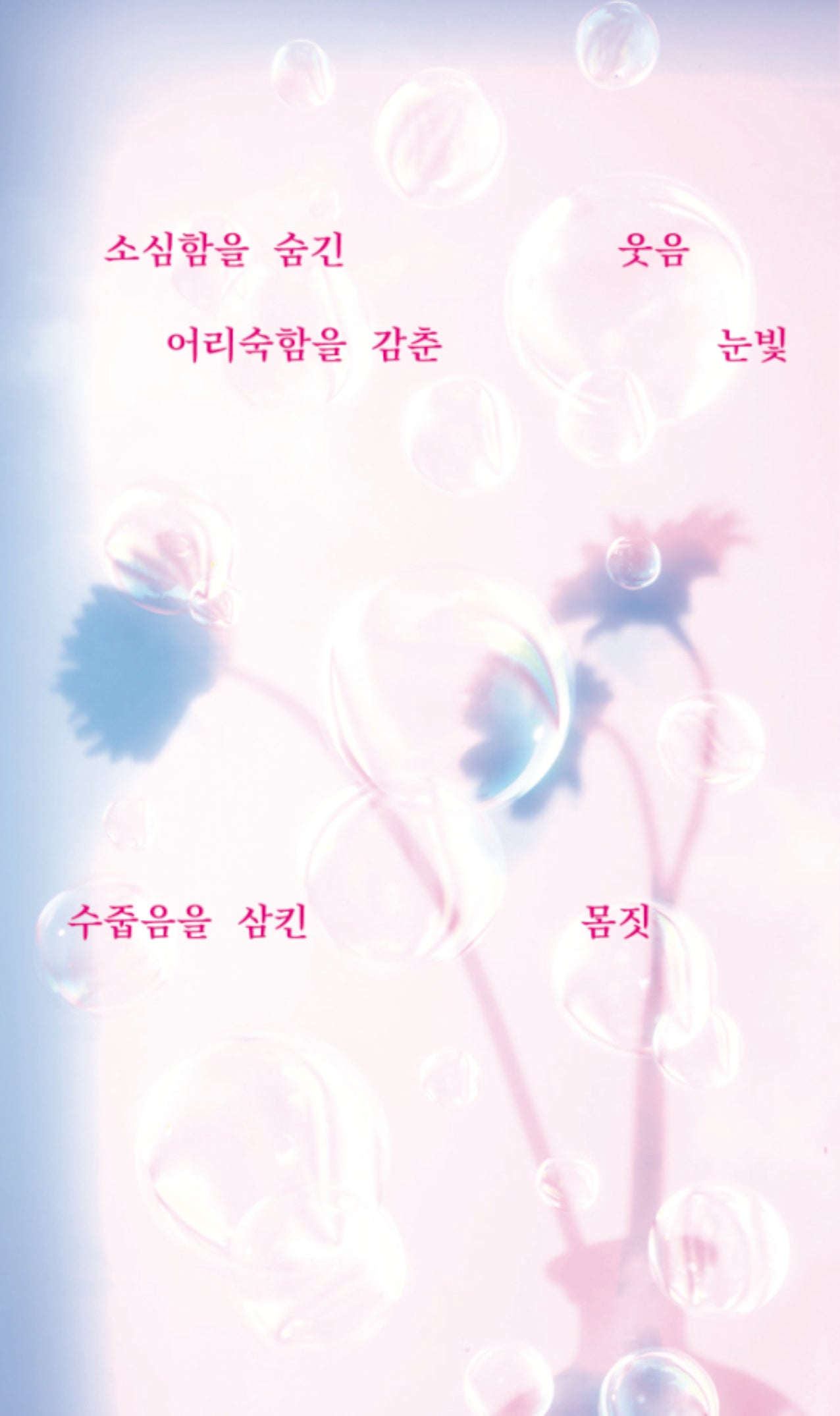 소심함을 숨긴 웃음 어리숙함을 감춘 눈빛 수줍음을 삼킨 몸짓