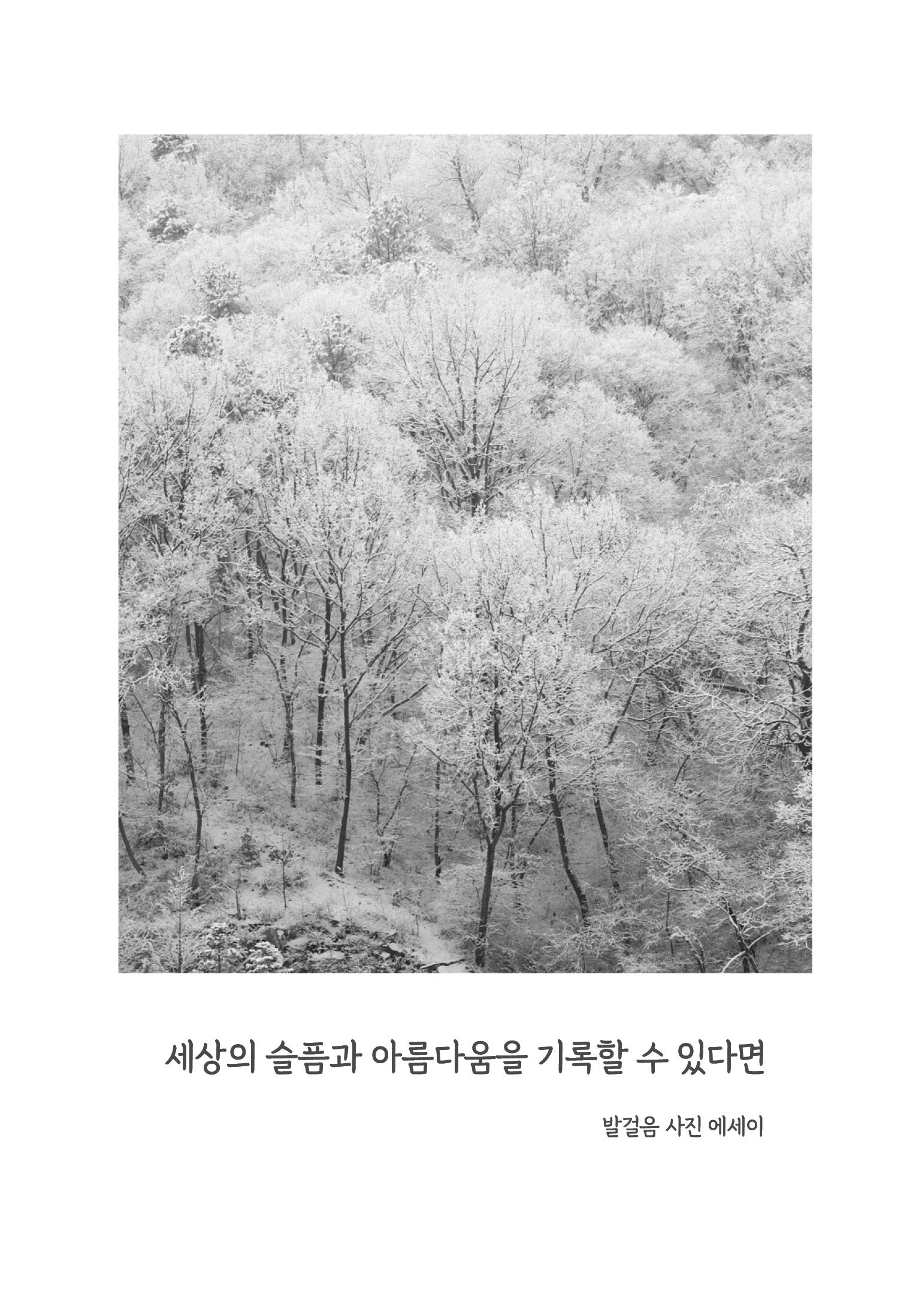 세상의 슬픔과 아름다움을 기록할 수 있다면