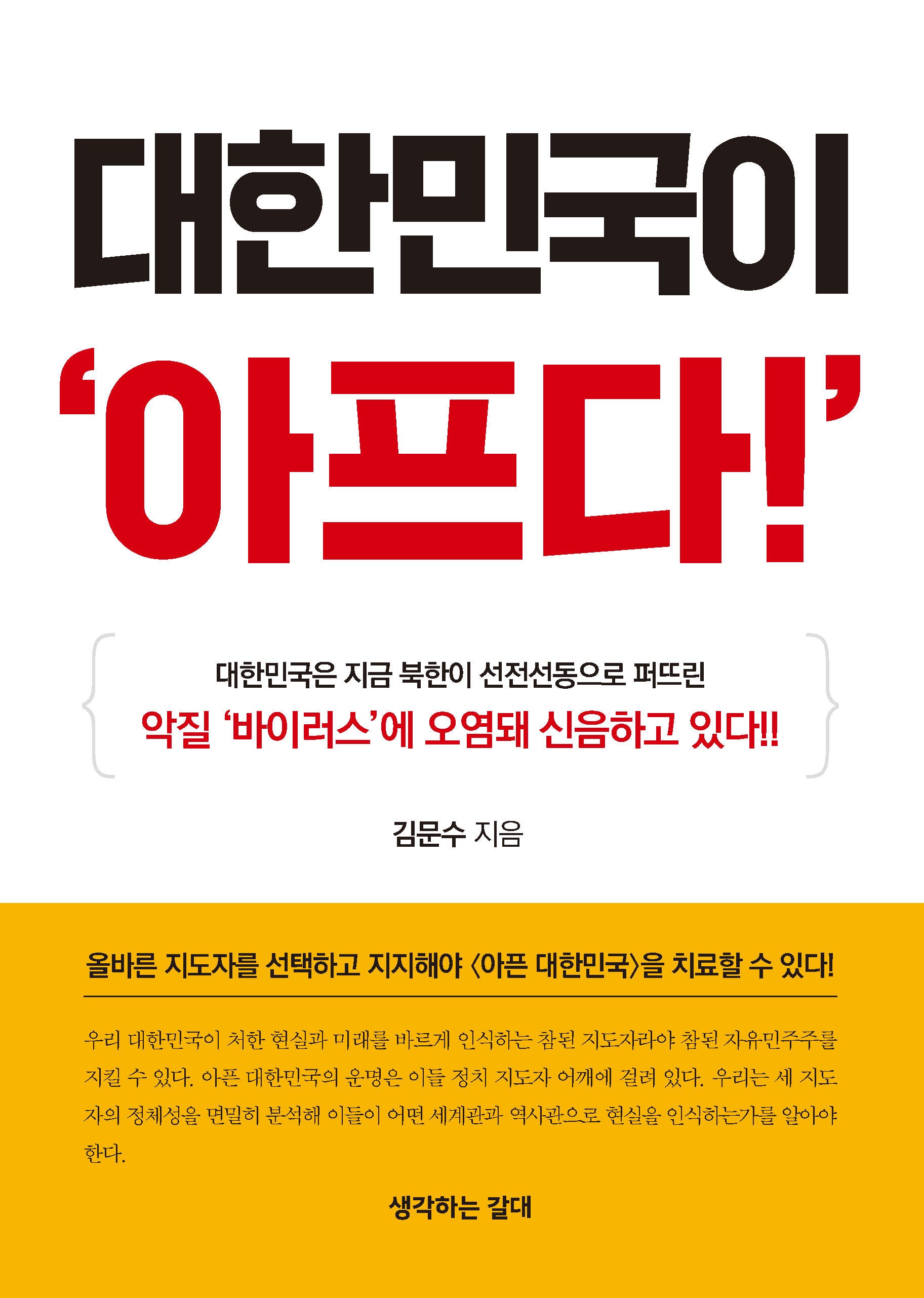 대한민국이 아프다