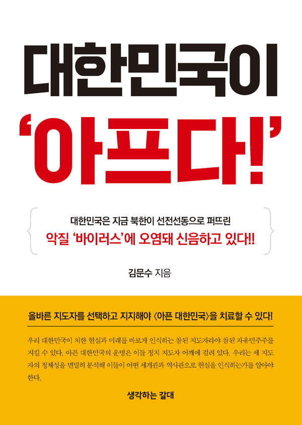 대한민국이 아프다