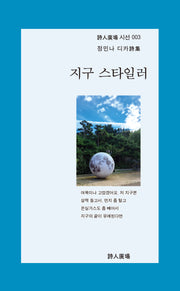 지구 스타일러(시인광장 시선 3)