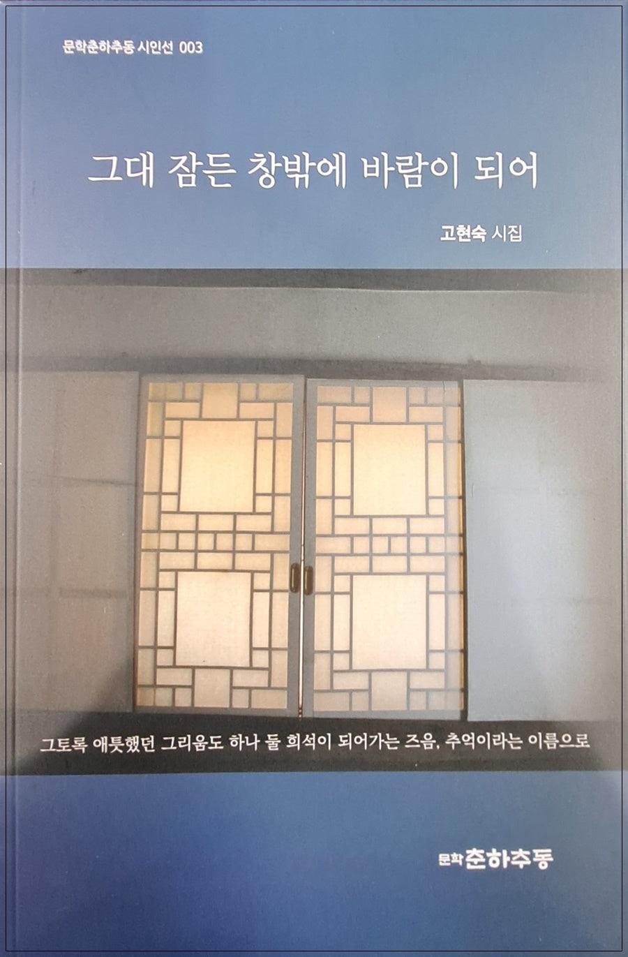 그대 잠든 창밖에 바람이 되어(문학춘하추동 시인선 3)
