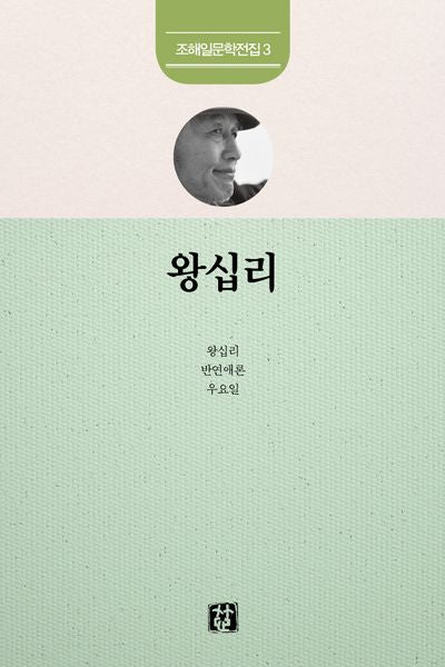 왕십리(조해일 문학전집 3)