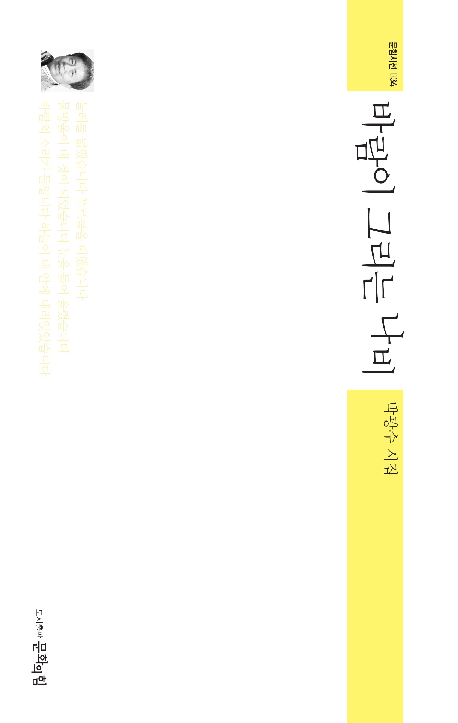 바람이 그리는 나비(문힘시선 34)