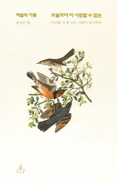 오늘보다 더 사랑할 수 없는(매일의 기록)
