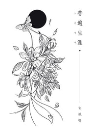 보편생애