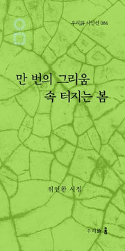만 번의 그리움 속 터지는 봄(우리시 시인선 84)