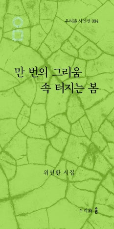 만 번의 그리움 속 터지는 봄(우리시 시인선 84)