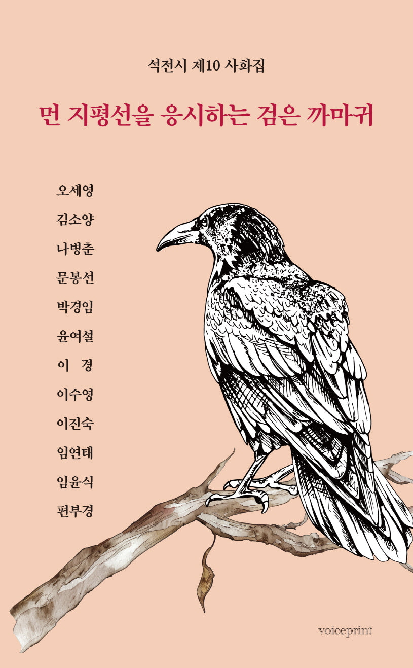 먼 지평선을 응시하는 검은 까마귀