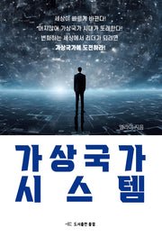 가상국가 시스템