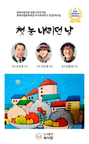 첫 눈 내리던 날