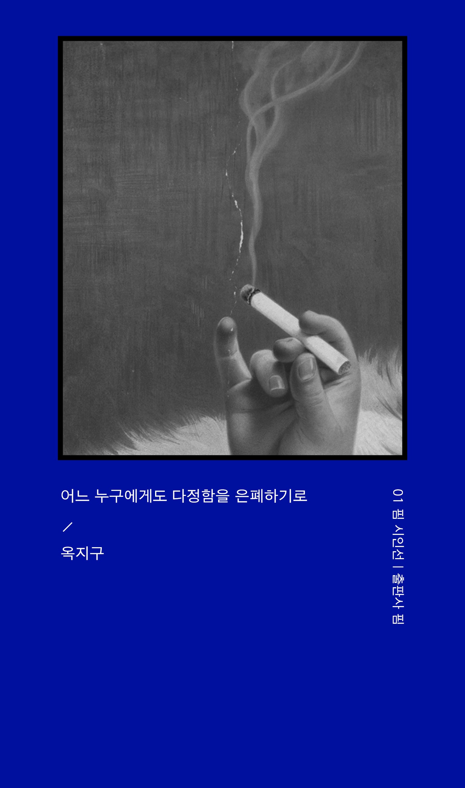 어느 누구에게도 다정함을 은폐하기로(핌 시인선 1)