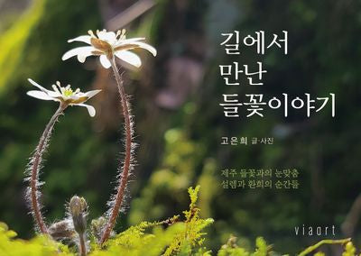 길에서 만난 들꽃이야기
