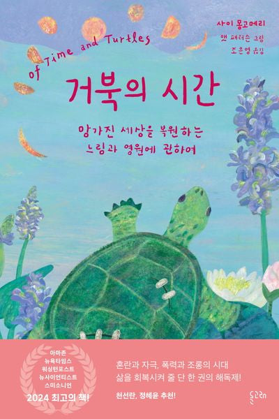 거북의 시간