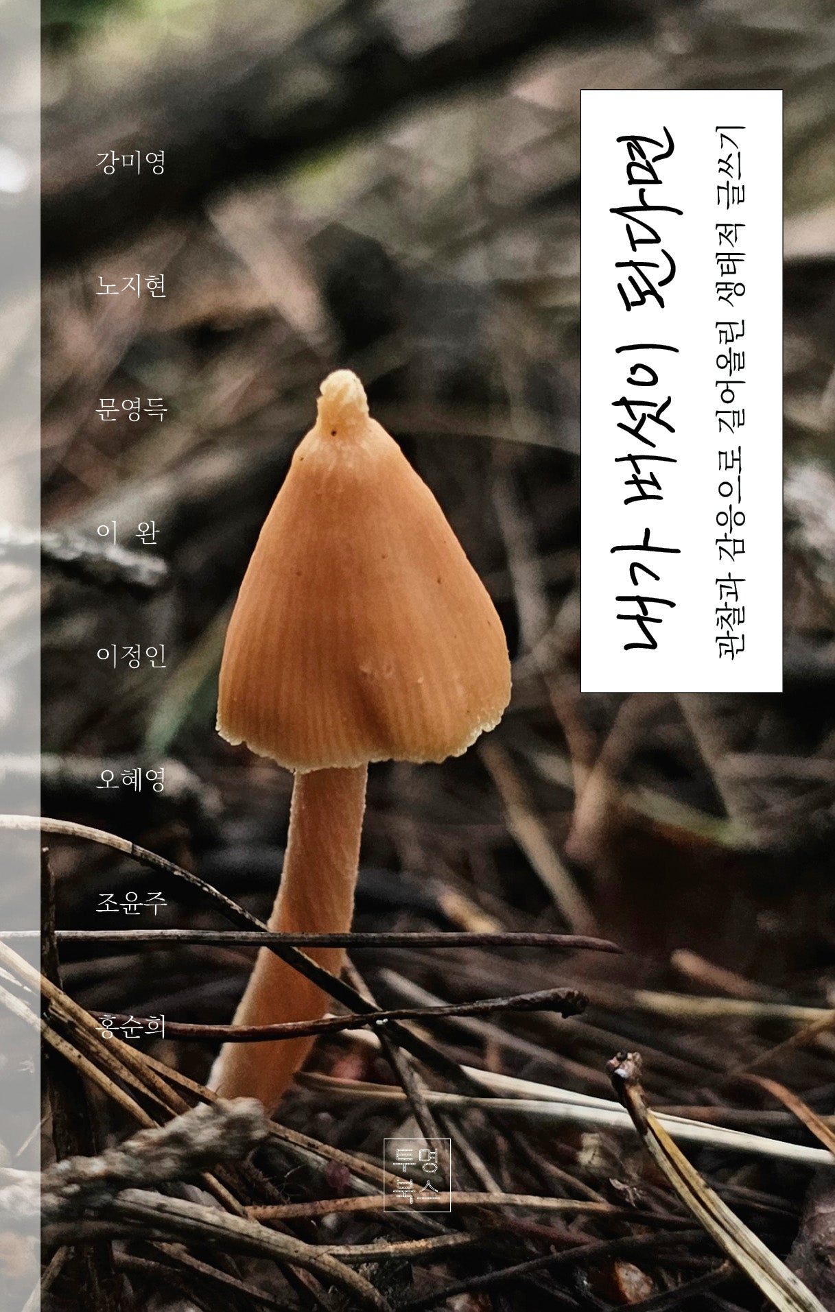 내가 버섯이 된다면