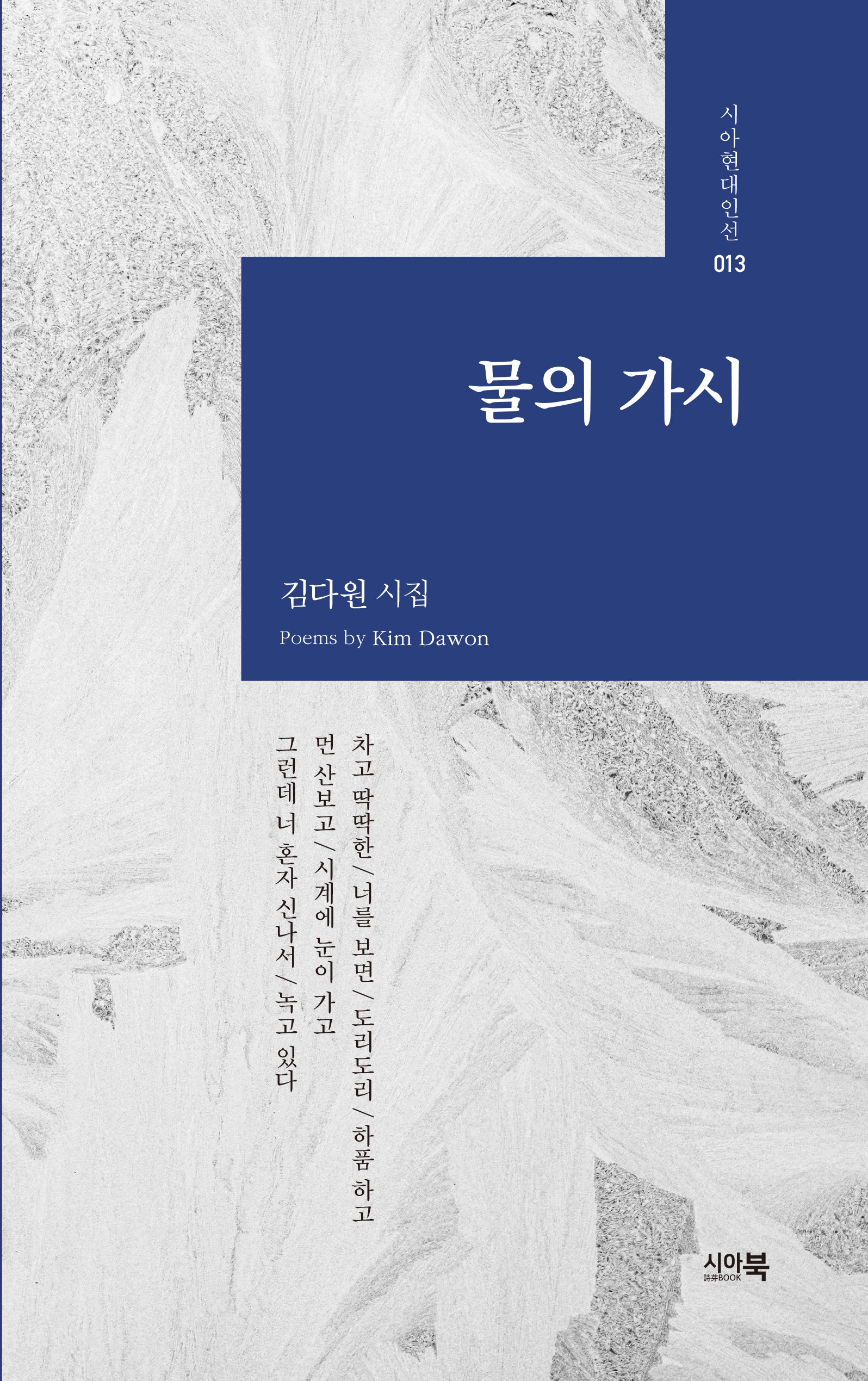 물의 가시(시아현대시선 13)
