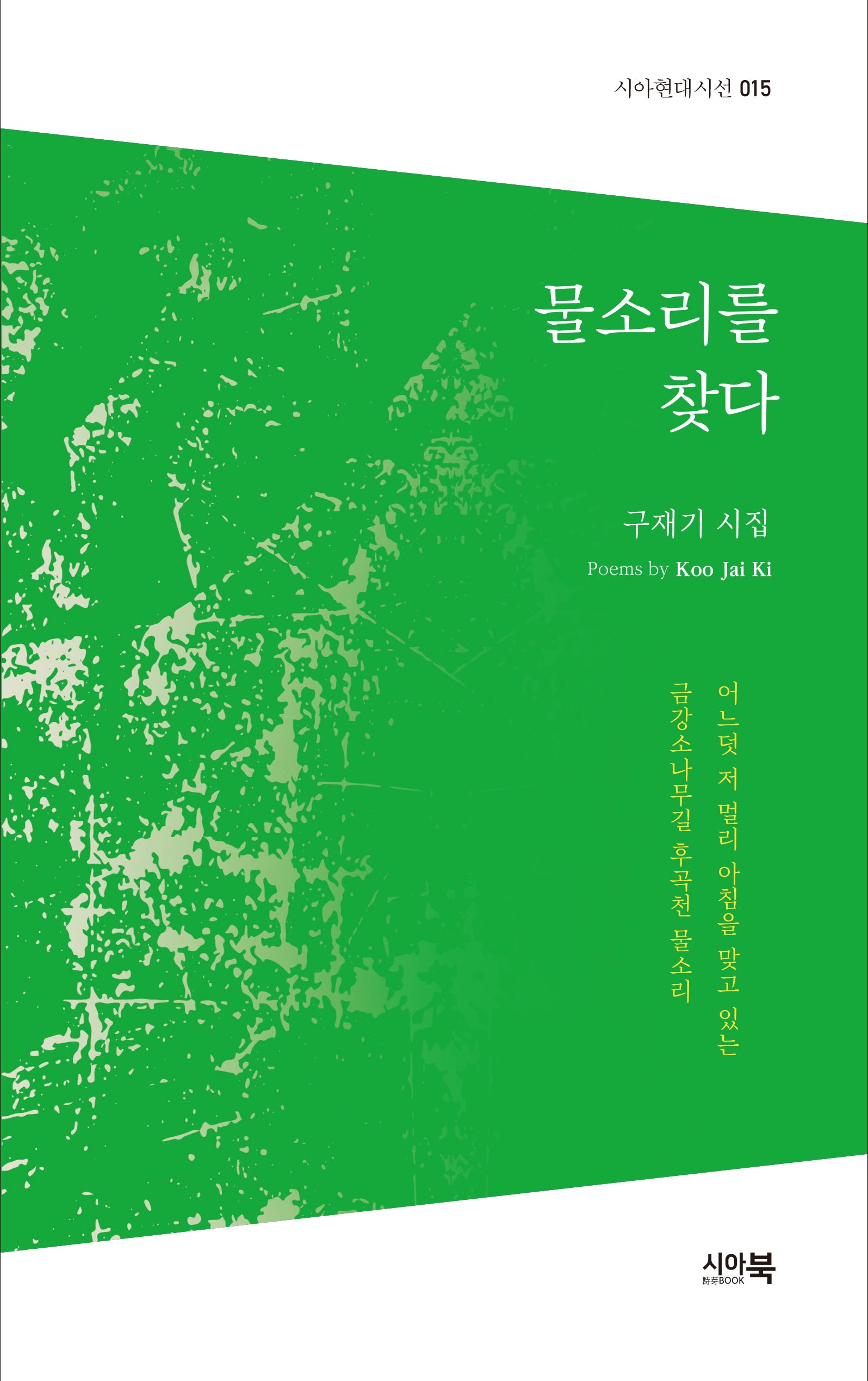 물소리를 찾다(시아현대시선 15)
