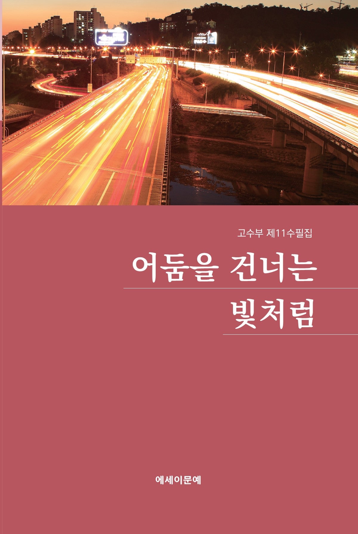 어둠을 건너는 빛처럼(고수부 제11수필집)