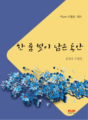 한 줌 빛이 남은 동안(이um 수필선 1)