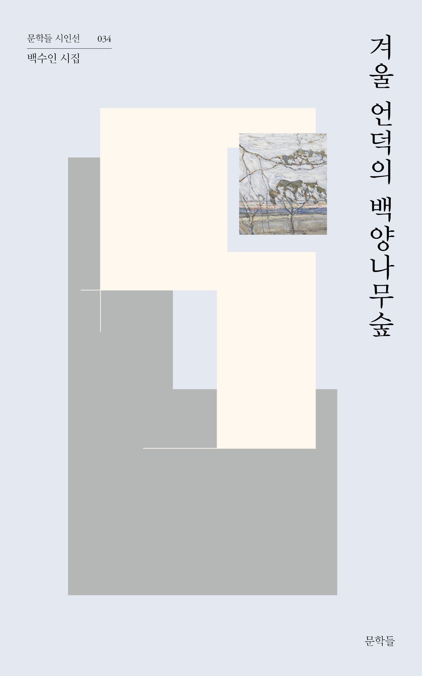 겨울 언덕의 백양나무숲(문학들 시인선 34)
