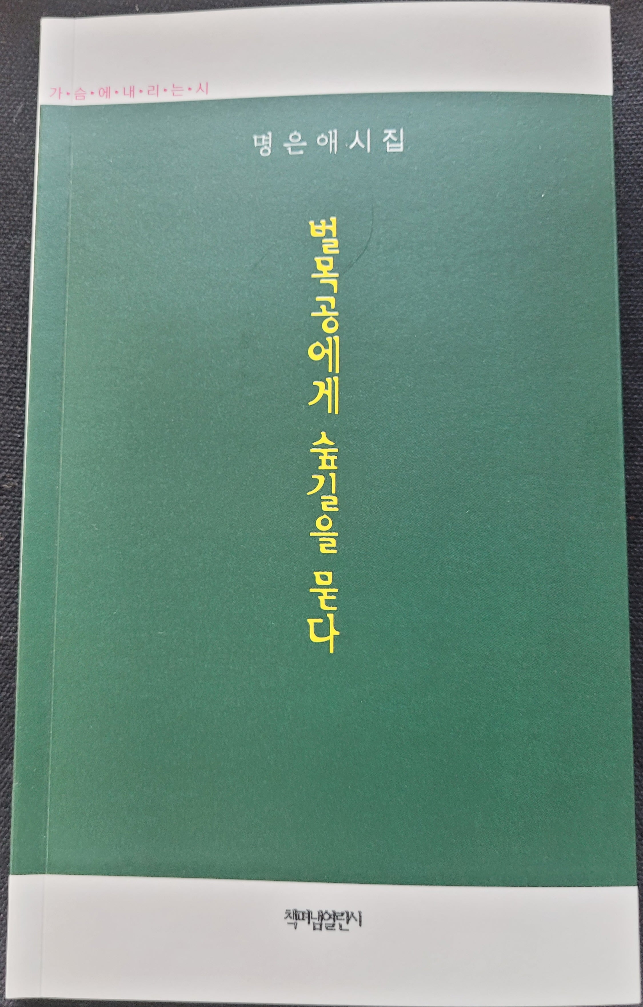 벌목공에게 숲길을 묻다