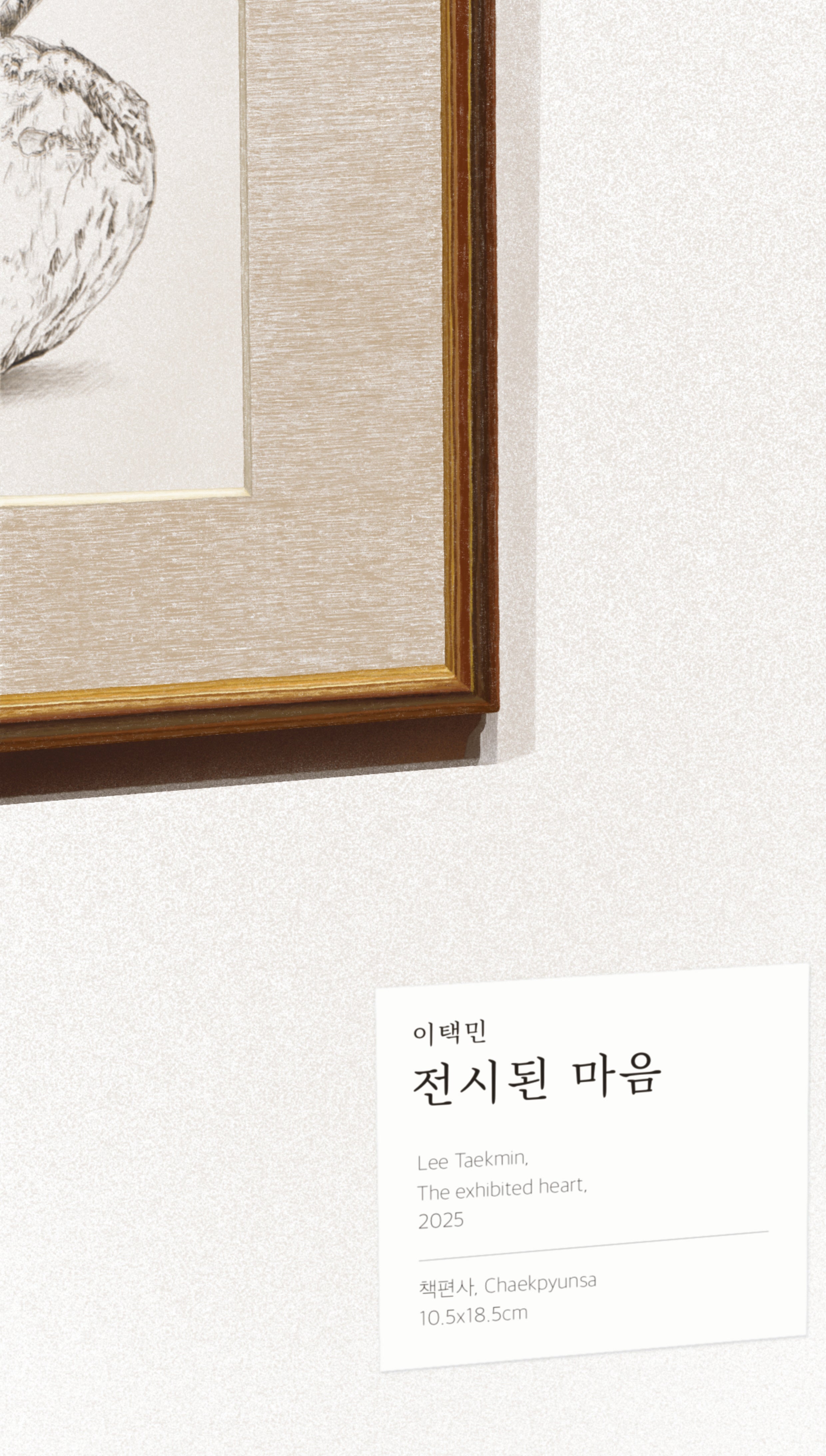 전시된 마음