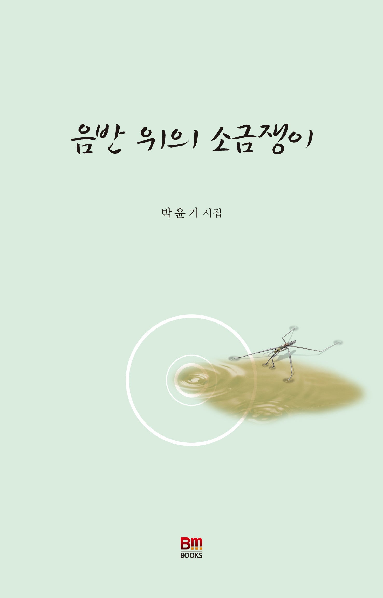 음반 위의 소금쟁이