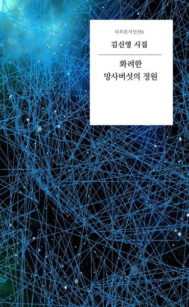 화려한 망사버섯의 정원(더푸른시인선 6)