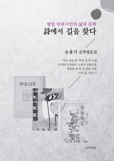 항일 민족시인의 삶과 문학 시에서 길을 찾다 손흥기 문학평론집