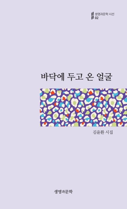 바닥에 두고 온 얼굴(생명과문학시선 2)