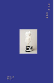 별이 된 보라매(양장본 Hardcover)
