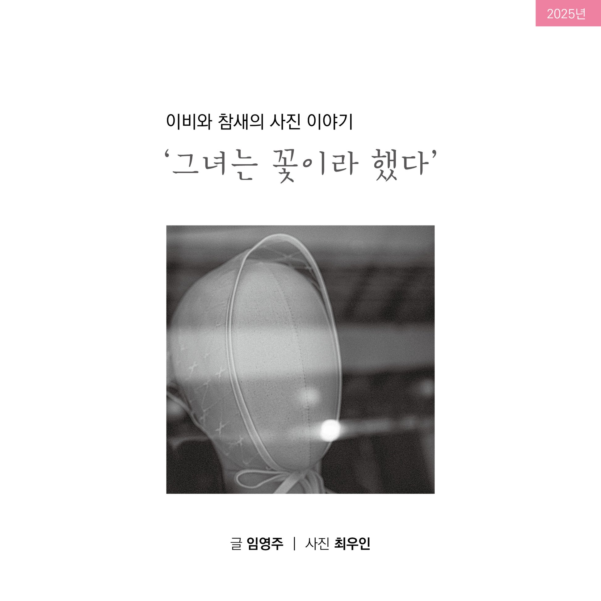 이비와 참새의 사진이야기