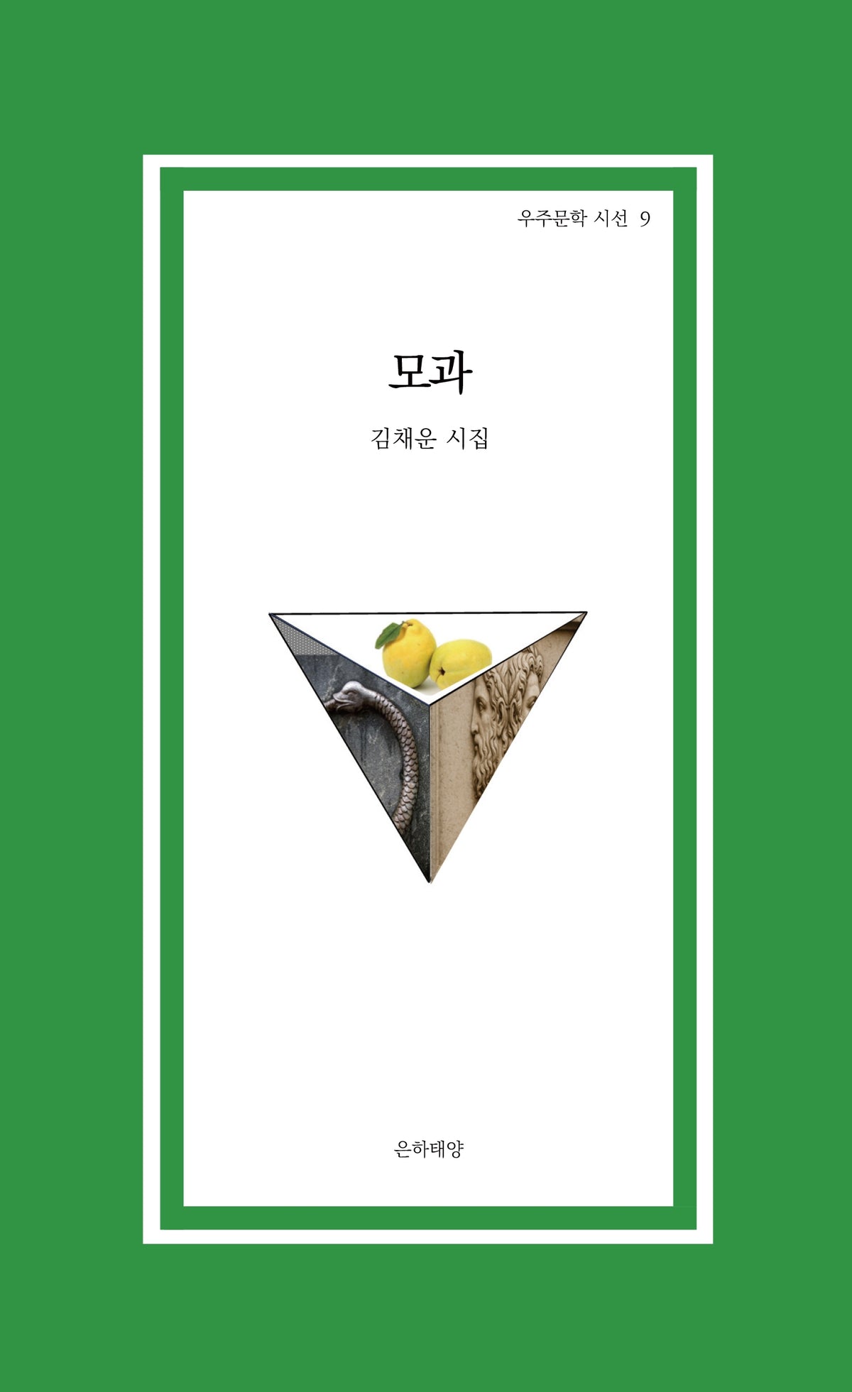 모과(우주문학 시선 9)(우주문학 시선 9)